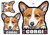 犬ステッカー コーギー19 シール雑貨グッズ