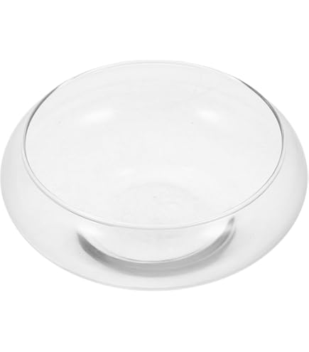 Amazon.co.jp: ダルトン(Dulton) 花瓶 グラスベース ボーラ