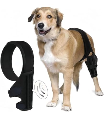 犬好きさんに 犬 足形　ベルト　papotage 未使用品 犬 サポーター 左右セット ベルト付き 前足後足左右兼用 小型犬
