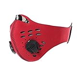 MIRAIS PM2.5 防塵 マスク ほこり ハウスダスト 活性炭 フィルター 花粉症 対策 MR-MFKZ001-RD