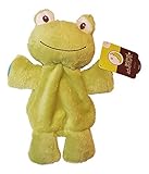 Ultra Soft Floppy Baby Plush ~ Frog [並行輸入品]
