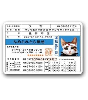 Amazon.co.jp: なめんなよカードコレクション2 当て