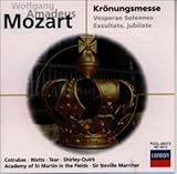 �Պ����~�T*�~�T�ȃn����