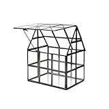 House Terrarium ハウステラリウム (Lattice)