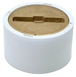 EZ-FLO 15336 Clean-Out with Brass Plug [並行輸入品]