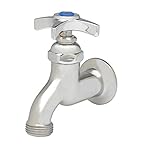 TS Brass B-0702 Single Sink Faucet, Chrome [並行輸入品]
