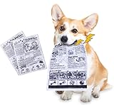 FTBOL 犬 おもちゃ 噛む 音 犬おもちゃ噛む小型犬 【2個入り】 犬 玩具 噛む 犬おもちゃ噛む大型犬 犬 噛むおもちゃ 安全 犬用歯ぎ清潔口内介護ブラシ ストレス解消 訓練玩具 耐久性 (ホワイト)