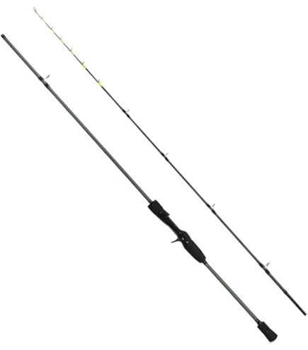 Amazon | ダイワ(DAIWA) 船竿 アナリスターカワハギ・E 82-175・E