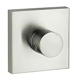 Hansgrohe 10932821 Axor Starck Trio/Quattro Trim, Brushed Nickel [並行輸入品]