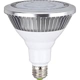 ハタヤリミテッド:ハタヤ LED作業灯用17WLEDランプ LED-17W 型式:LED-17W