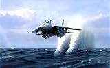 Military F - 14 Tomcat壁の水 – 18 x 24メタルアルミ壁アート