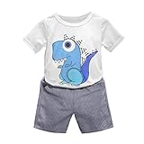 Tavodoo　二点セット　上下セット　Tシャツ　恐竜　ショートパンツ　ヒッコリー　縞模様　ストライド　カジュアル　おしゃれ　面白い　夏　人気　新品　キッズ　男の子　ベビーボイズ　子供用　幼児　ベビー