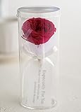 JewelzGift（ジュエルズギフト） プリザーブドフラワー 一輪バラ プチギフト アレンジ 「水のいらないお花」 【全2色】 レッド