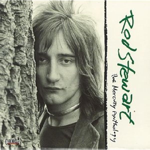 Amazon.co.jp: Handbags & Gladrags: The Essential Rod Stewart