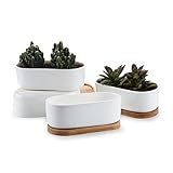 T4U 16.9 陶器鉢 白 楕円 植木鉢 多肉植物 サボテン鉢 竹トレイ付き 4個いり