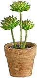 アビテ 造花 観葉植物 グリーンポット・S-マッコス IL-114-AA