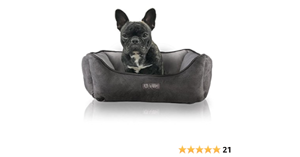 amazon grey dog bed