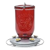 Perky Pet PP786 Red Mason Jar Hummingbird Feeder