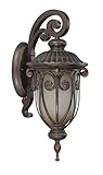 Nuvo Lighting 60/3926 Corniche Outdoor Small Wall Lantern Arm Down with Photocell, Frosted Wheat Gla