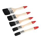 5 Piece Silverline Disposable Brush Set