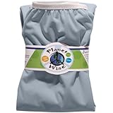 Planet Wise Reusable Diaper Pail Liner, Baby Blue by Planet Wise [並行輸入品]