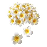 Yyiingkku プルメリア 造花 4cm 50個セット 花のみ 白 ハンドメイド お花 DIY手作業 結婚式 パーティー用 飾り付け 写真撮影小物 飾りつけ 装飾 アクセサリー