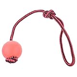 兰灵6.5cm固体の咬み耐性弾性非毒性と弾力性のある無臭ゴムペットのおもちゃ犬のボールのおもちゃまたは犬の訓練，ロープボールと- M (5.5cm-S)