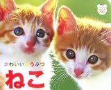ねこ: かわいいどうぶつ (ジュリアンのしゃしんえほん 2)