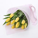 西脇農園 チューリップ 花束「黄色系10本」 イエロー系 日比谷花壇