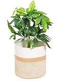 Crystal craft プランターカバー 植木鉢 おしゃれ バスケット おもちゃ入れ 25cm【ベージュ 8号】