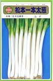日本タネセンター　松本一本太葱 10ml