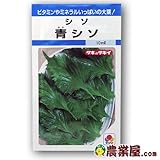 しそ 種 青しそ 小袋（約10ml）