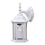 Acclaim 5181TW Craftsman 2 Collection 1-Light Wall Mount Outdoor Light Fixture, Textured White [並行輸入