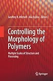 Controlling the Morphology of Polymers: Multiple Scales of Structure and Processing