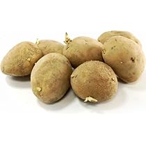 Amazon.co.jp: ジャガイモ・ながさき黄金 種芋 500g L〜Sサイズ : DIY