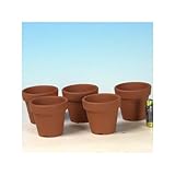 国産素焼き深鉢2号　５個セット