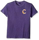 NCAA Clemson Tigers状態野球レース半袖Tシャツ、スモール、グレープ