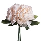 牡丹の結婚式造花の花を保持 ホームデコレーションプロセスプラント 誕生日プレゼント 女性 お祝い 結婚祝い 退職祝い (シャンパン)