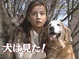 土曜ワイド劇場／犬は見た