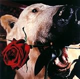 �t���J���̃t�F�C�N�ł�����