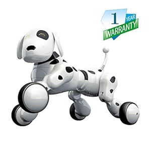 子供のおもちゃ 電子ペット ロボット犬のおもちゃ 子供ロボット 親子のおもちゃ 犬 動く おもちゃ 男の子 女の子 おもちゃ 日本語の説明書 6歳 7歳 8歳 9歳 10歳 Ocruyo オクルヨ