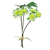 アストランティアピック(3本) FXFPF0011GR