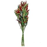 東京堂 ドライフラワー トウガラシミニ枝付 (約50ｇ入り) FD000559