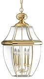 Quoizel NY1180B Newbury 4-Light Outdoor Hanging Lantern, Polished Brass by Quoizel