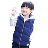 (チェリーレッド) CherryRed キッズ 子供服 女の子 男の子 ベスト 袖なし ベビーベスト秋冬 中綿 裏起毛 90 グレー