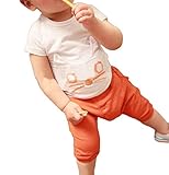 nico+(ニコプラス) Tシャツ パンツ ２点セット ネコ オレンジ 90cm