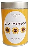 リトルガーデン Ver.2 ヒマワリチャン ミニひまわり 栽培セット