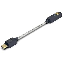 Amazon.co.jp: iFi audio GO link 2 IFI-GO-LINK2 【日本正規店より