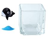 花市場直送便 ミニチュアガラス クジラ ブラック & カラーサンド ブルー & 植え込み用グラス ニューブロックS