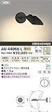 コイズミ照明 アウトドアブラケット散光(白熱球40W相当)黒色塗装 AU44066L